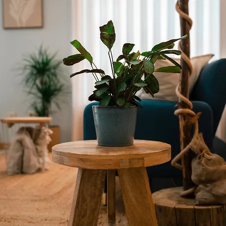 Maresia - Apartment *
