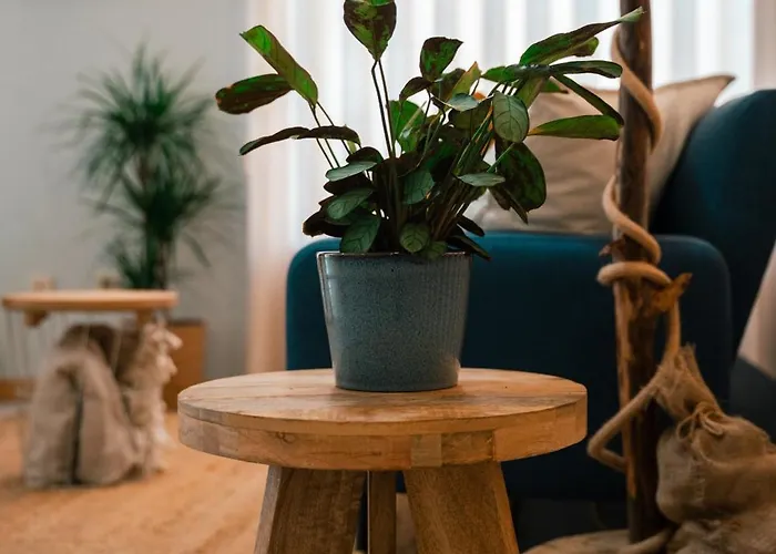 Maresia - Apartment *